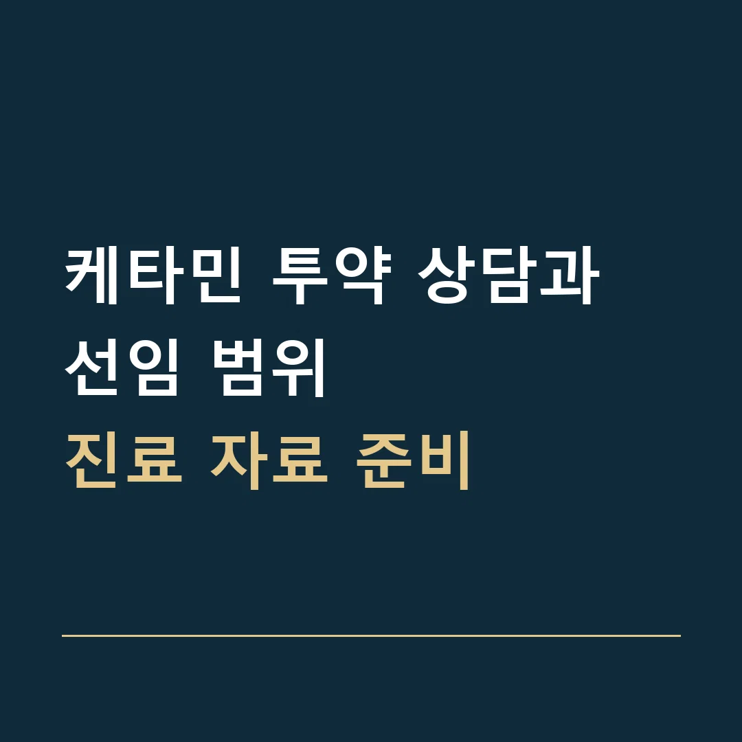 케타민 투약 상담과 선임 범위 · 진료 자료 준비