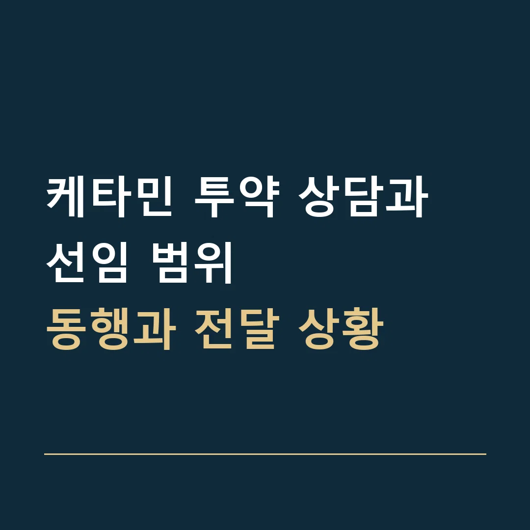 케타민 투약 상담과 선임 범위 · 동행과 전달 상황