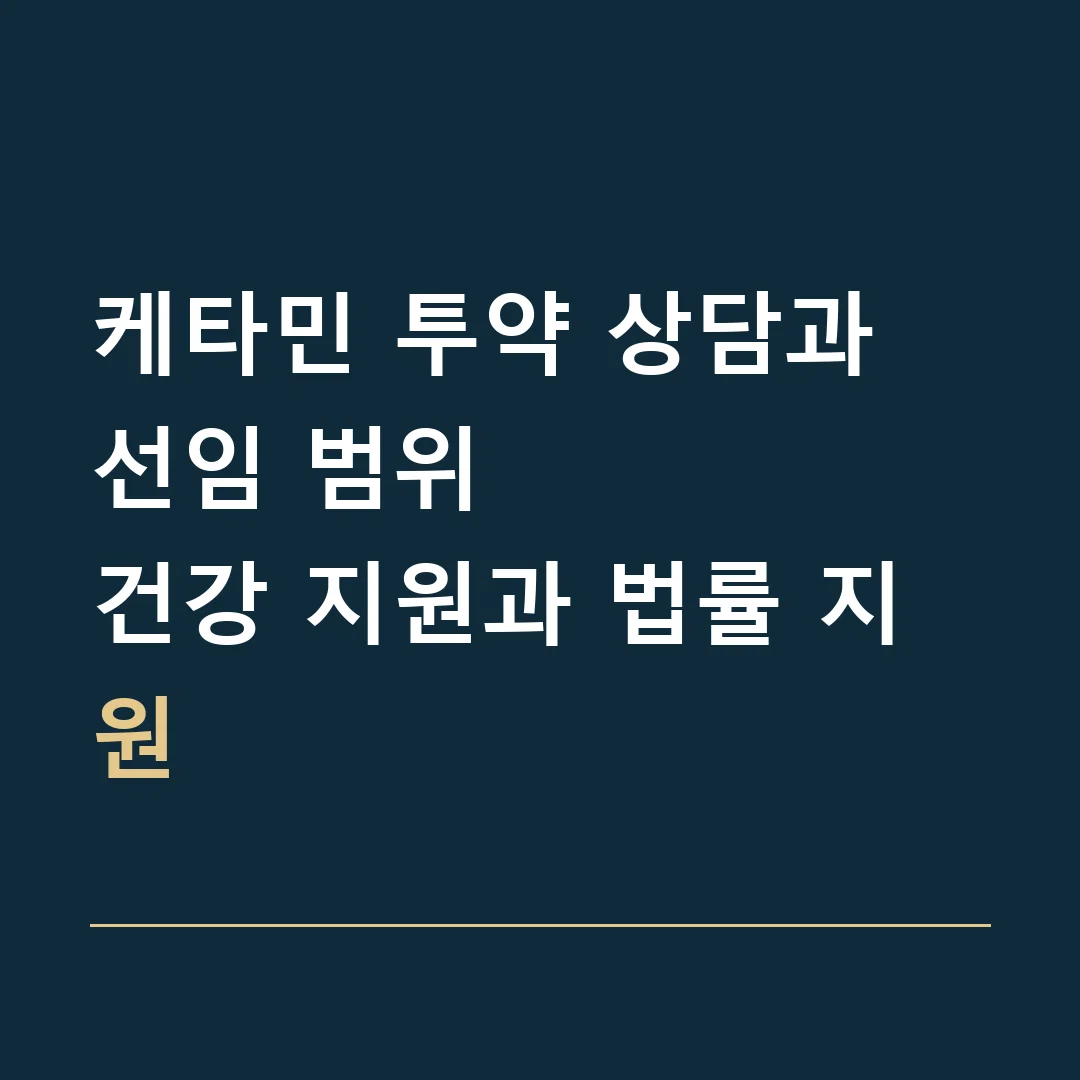 케타민 투약 상담과 선임 범위 · 건강 지원과 법률 지원