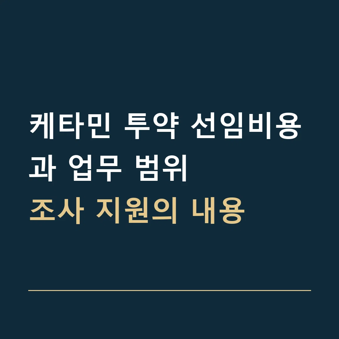 케타민 투약 선임비용과 업무 범위 · 조사 지원의 내용