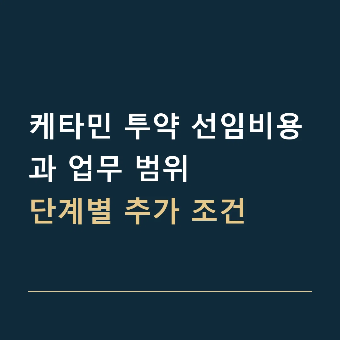 케타민 투약 선임비용과 업무 범위 · 단계별 추가 조건