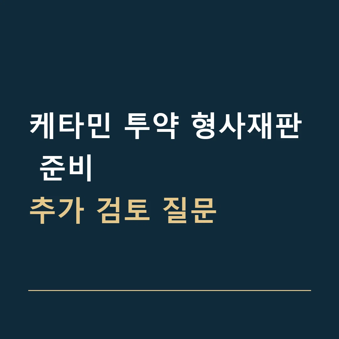 케타민 투약 형사재판 준비 · 추가 검토 질문