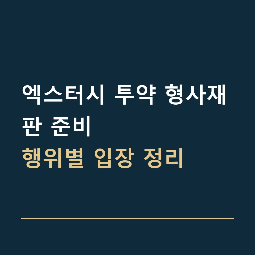 엑스터시 투약 형사재판 준비 · 행위별 입장 정리