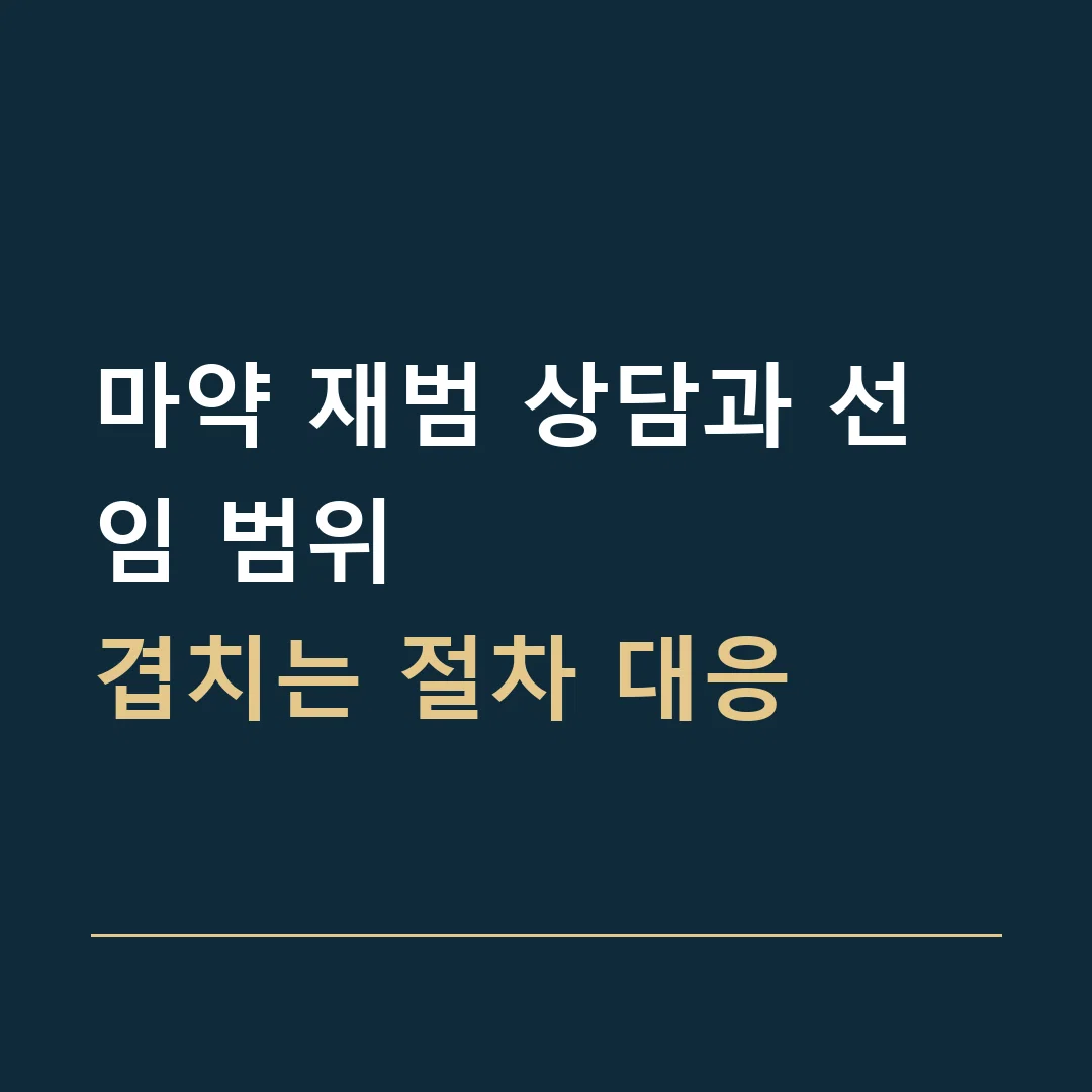 마약 재범 상담과 선임 범위 · 겹치는 절차 대응