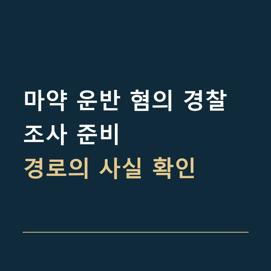 마약 운반 혐의 경찰조사 준비 · 경로의 사실 확인