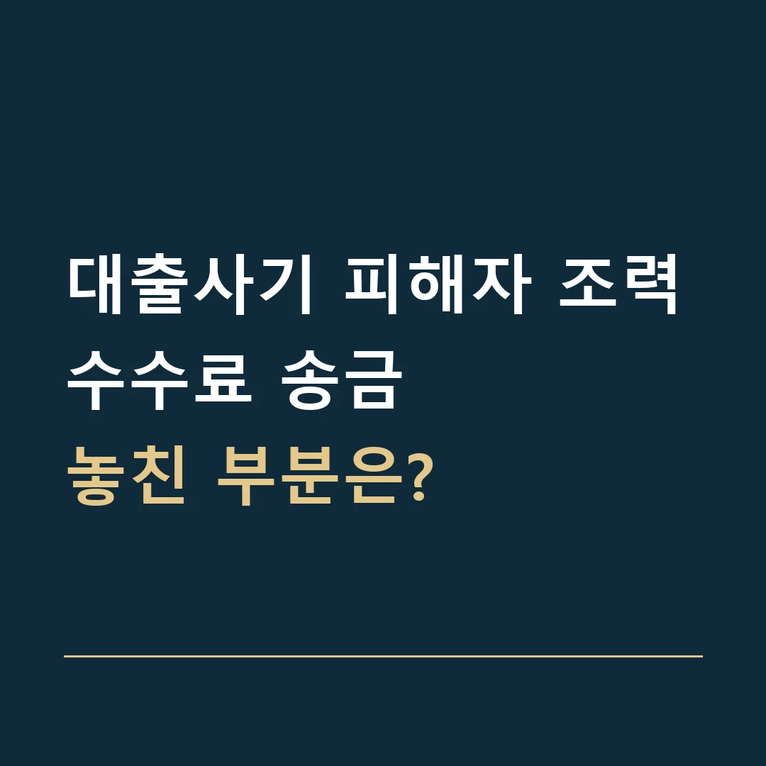 대출사기 피해자 조력 · 수수료 송금
놓친 부분은?