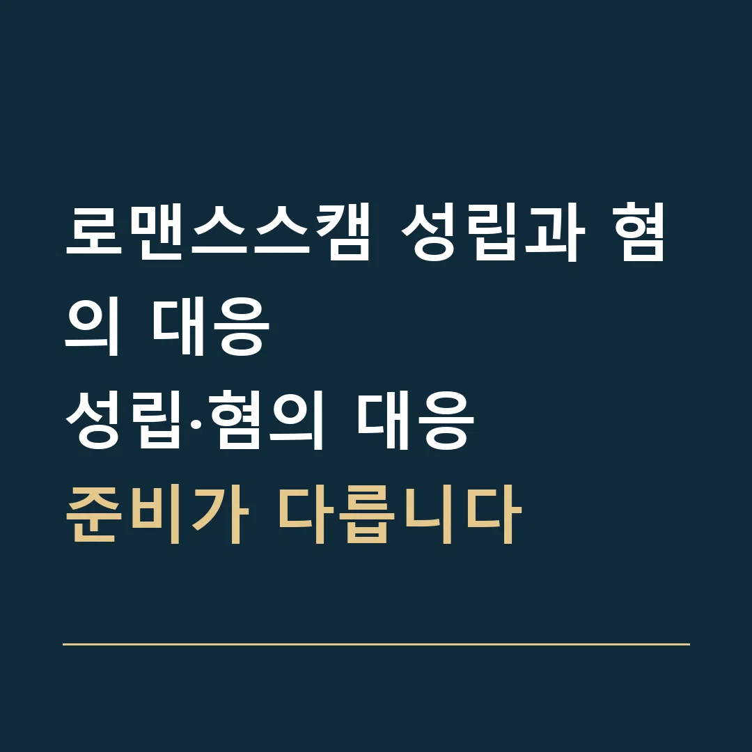 로맨스스캠 성립과 혐의 대응 · 성립·혐의 대응
준비가 다릅니다