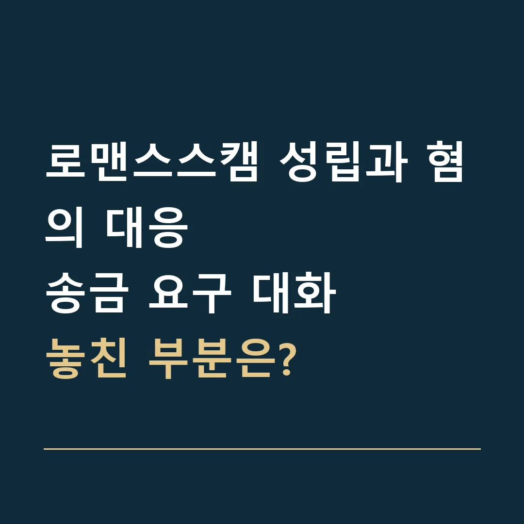 로맨스스캠 성립과 혐의 대응 · 송금 요구 대화
놓친 부분은?