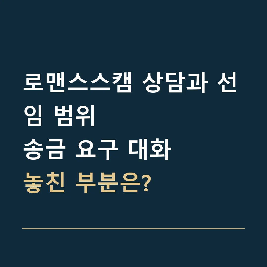 로맨스스캠 상담과 선임 범위 · 송금 요구 대화
놓친 부분은?