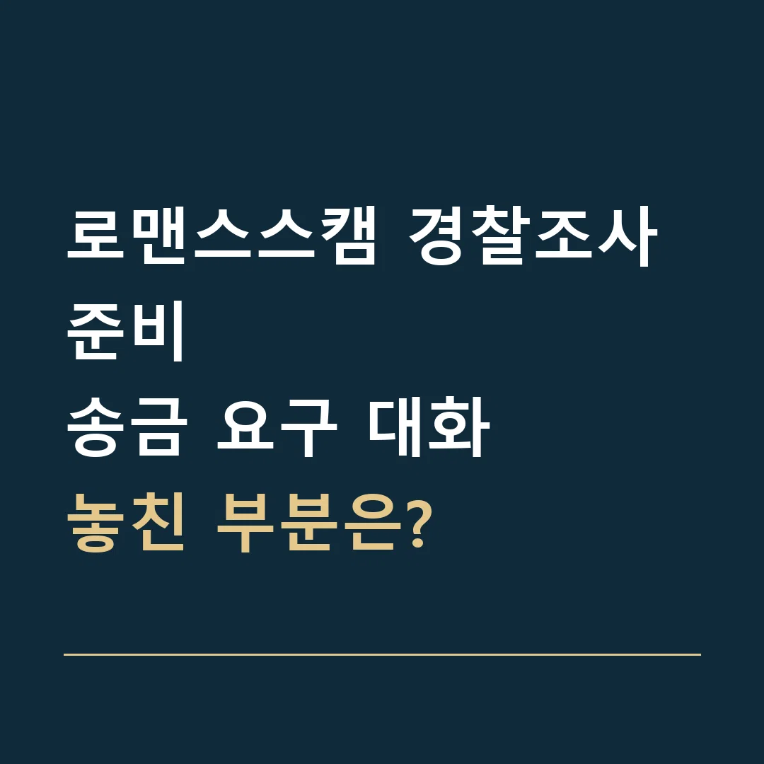 로맨스스캠 경찰조사 준비 · 송금 요구 대화
놓친 부분은?