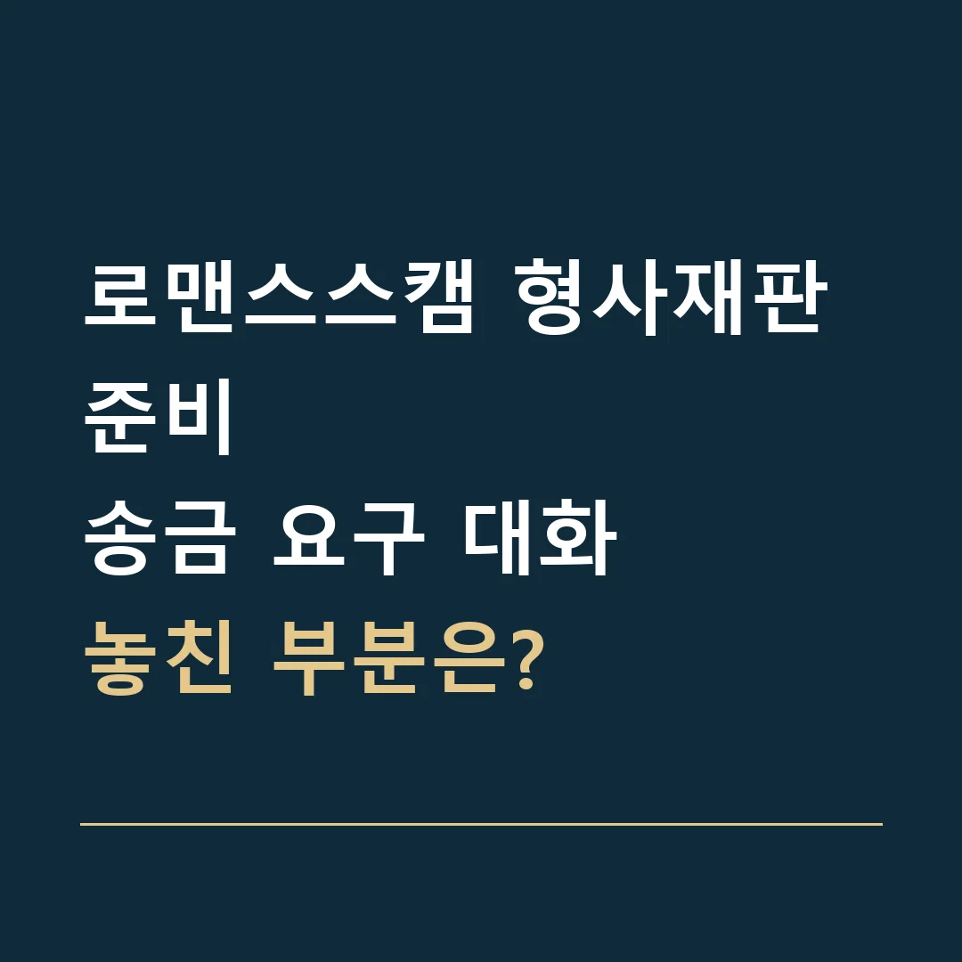 로맨스스캠 형사재판 준비 · 송금 요구 대화
놓친 부분은?