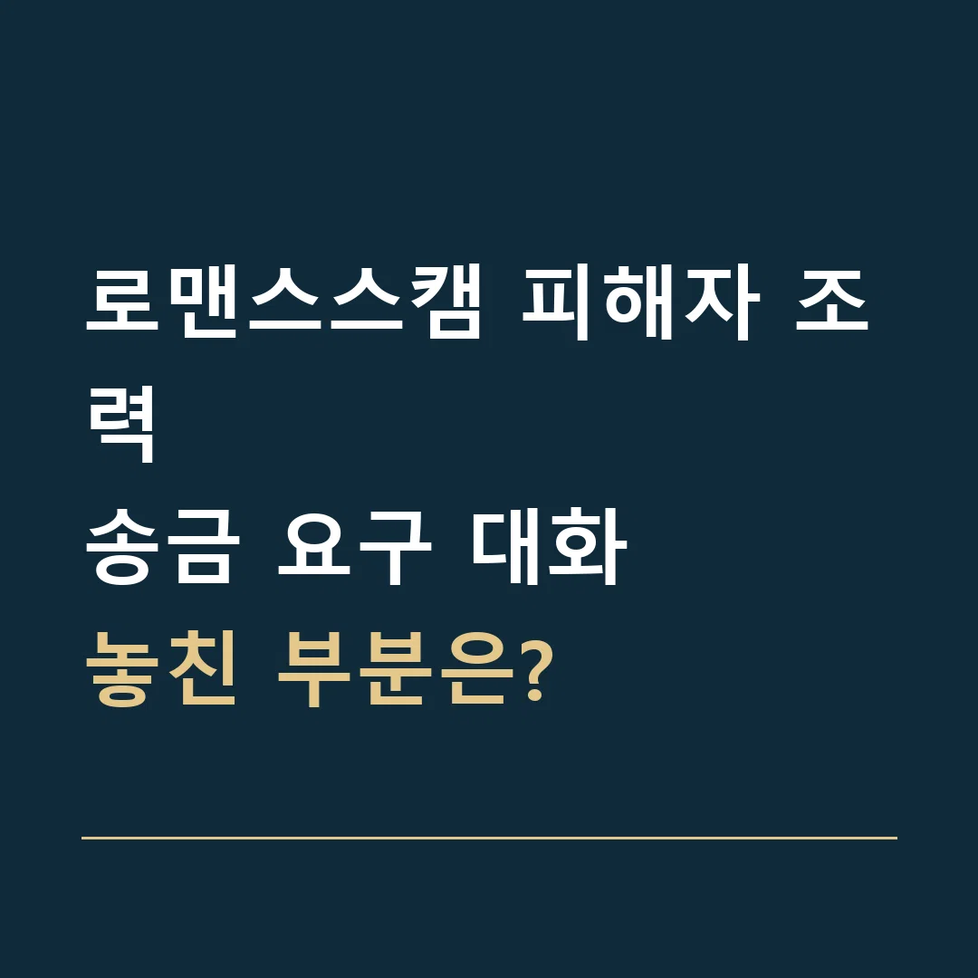 로맨스스캠 피해자 조력 · 송금 요구 대화
놓친 부분은?