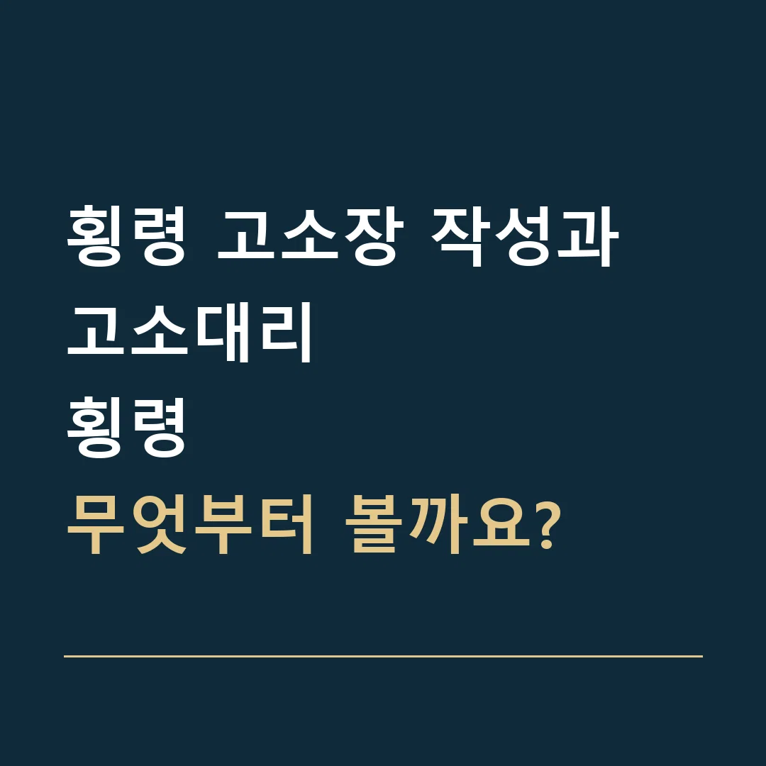 횡령 고소장 작성과 고소대리 · 횡령
무엇부터 볼까요?
