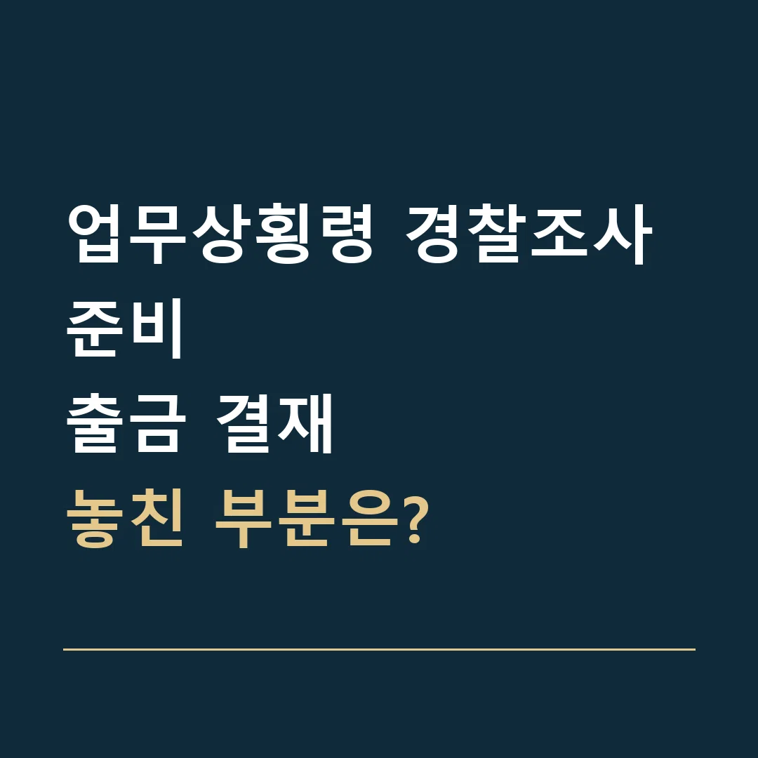 업무상횡령 경찰조사 준비 · 출금 결재
놓친 부분은?