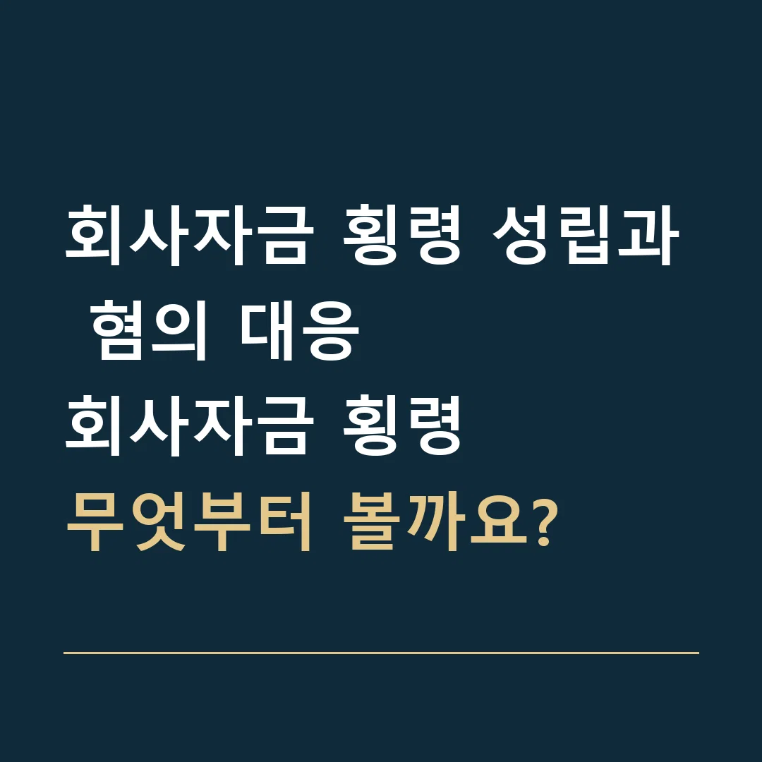 회사자금 횡령 성립과 혐의 대응 · 회사자금 횡령
무엇부터 볼까요?
