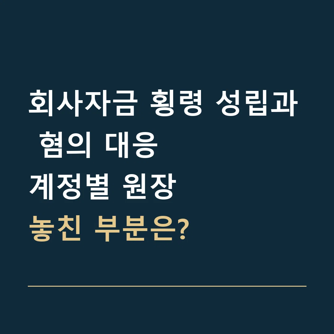 회사자금 횡령 성립과 혐의 대응 · 계정별 원장
놓친 부분은?