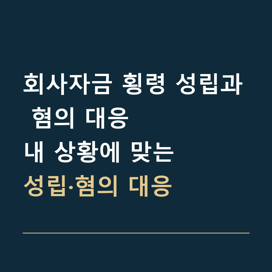 회사자금 횡령 성립과 혐의 대응 · 내 상황에 맞는
성립·혐의 대응