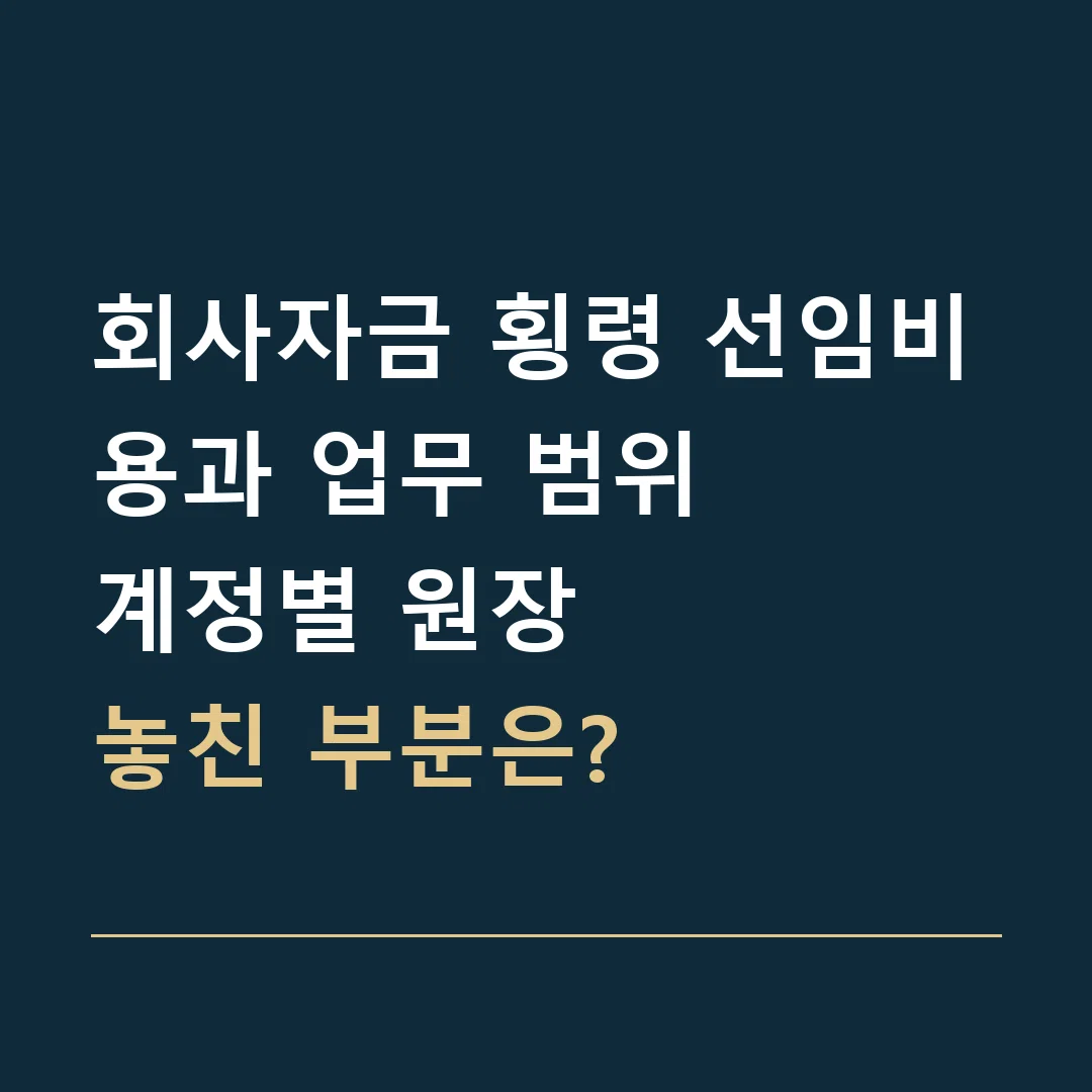 회사자금 횡령 선임비용과 업무 범위 · 계정별 원장
놓친 부분은?