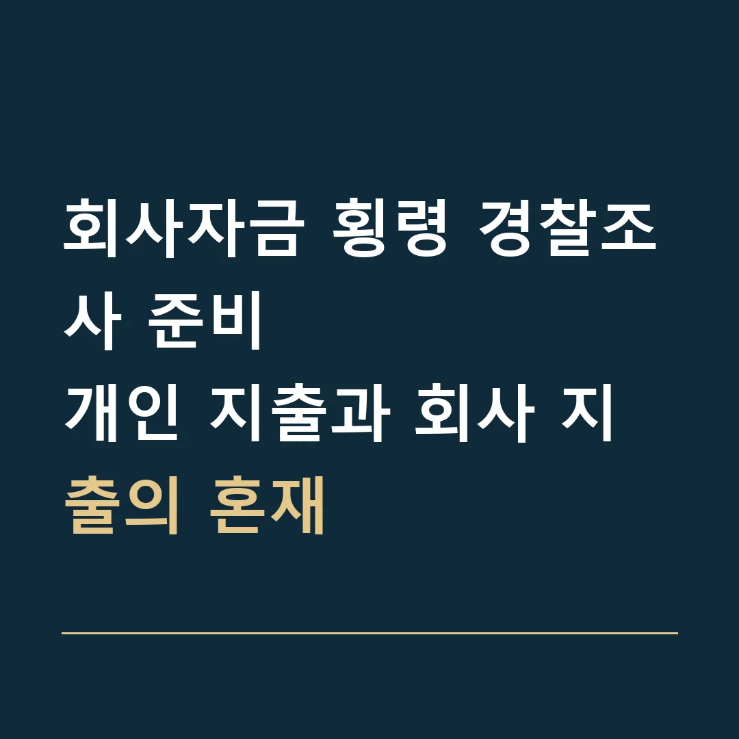 회사자금 횡령 경찰조사 준비 · 개인 지출과 회사 지출의 혼재