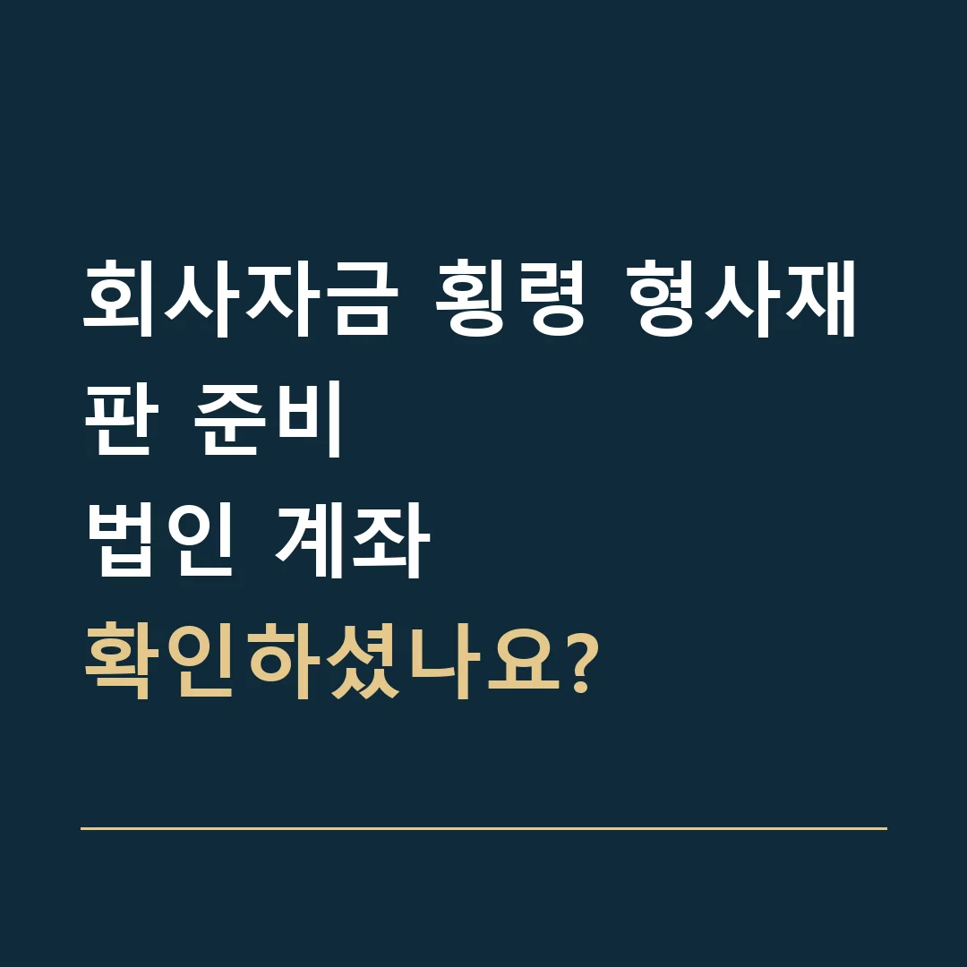 회사자금 횡령 형사재판 준비 · 법인 계좌
확인하셨나요?