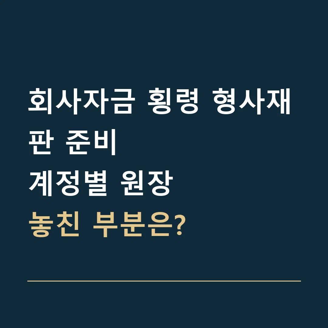 회사자금 횡령 형사재판 준비 · 계정별 원장
놓친 부분은?