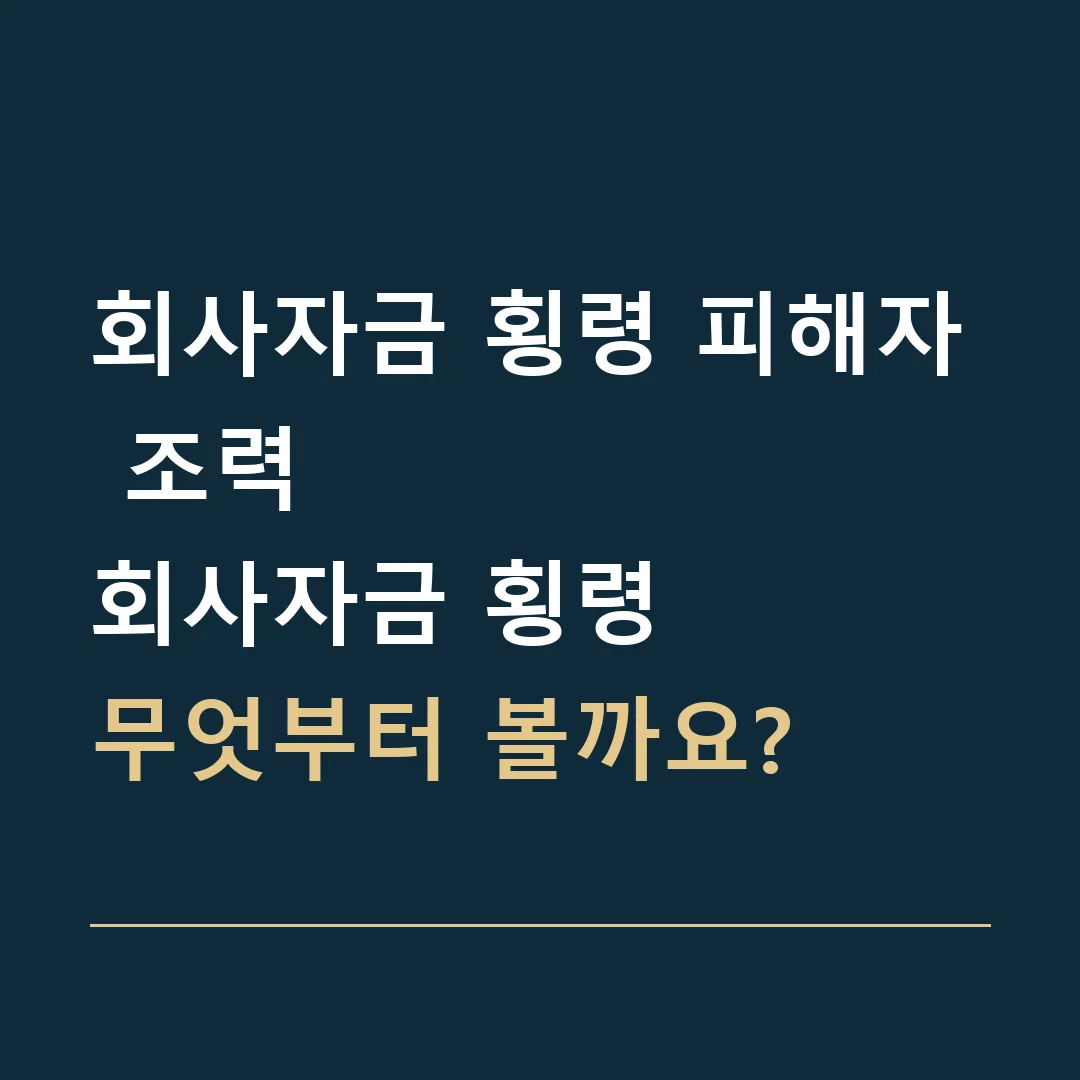 회사자금 횡령 피해자 조력 · 회사자금 횡령
무엇부터 볼까요?