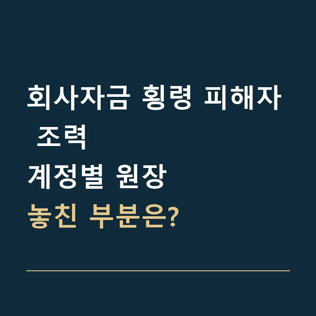 회사자금 횡령 피해자 조력 · 계정별 원장
놓친 부분은?