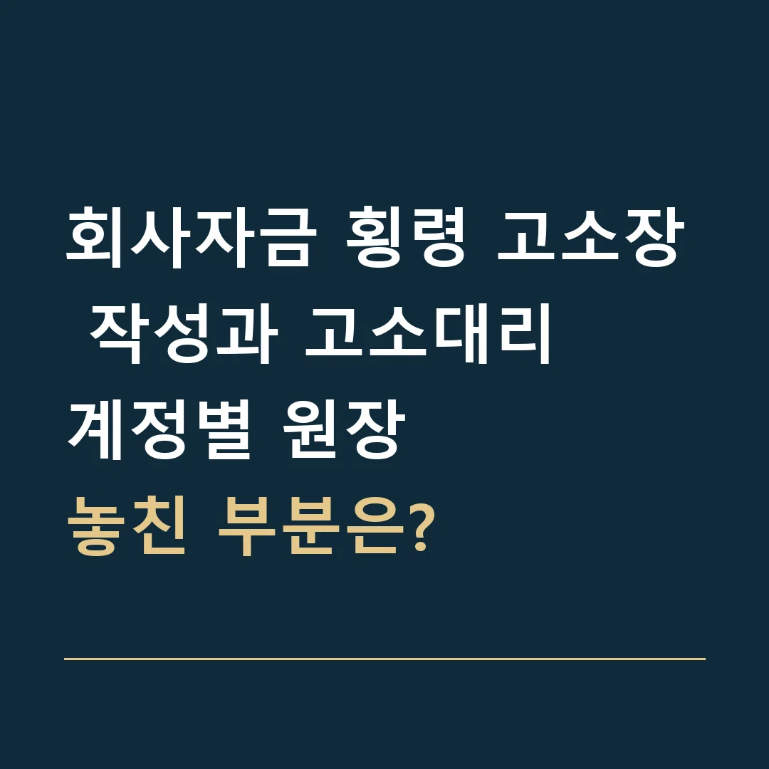 회사자금 횡령 고소장 작성과 고소대리 · 계정별 원장
놓친 부분은?