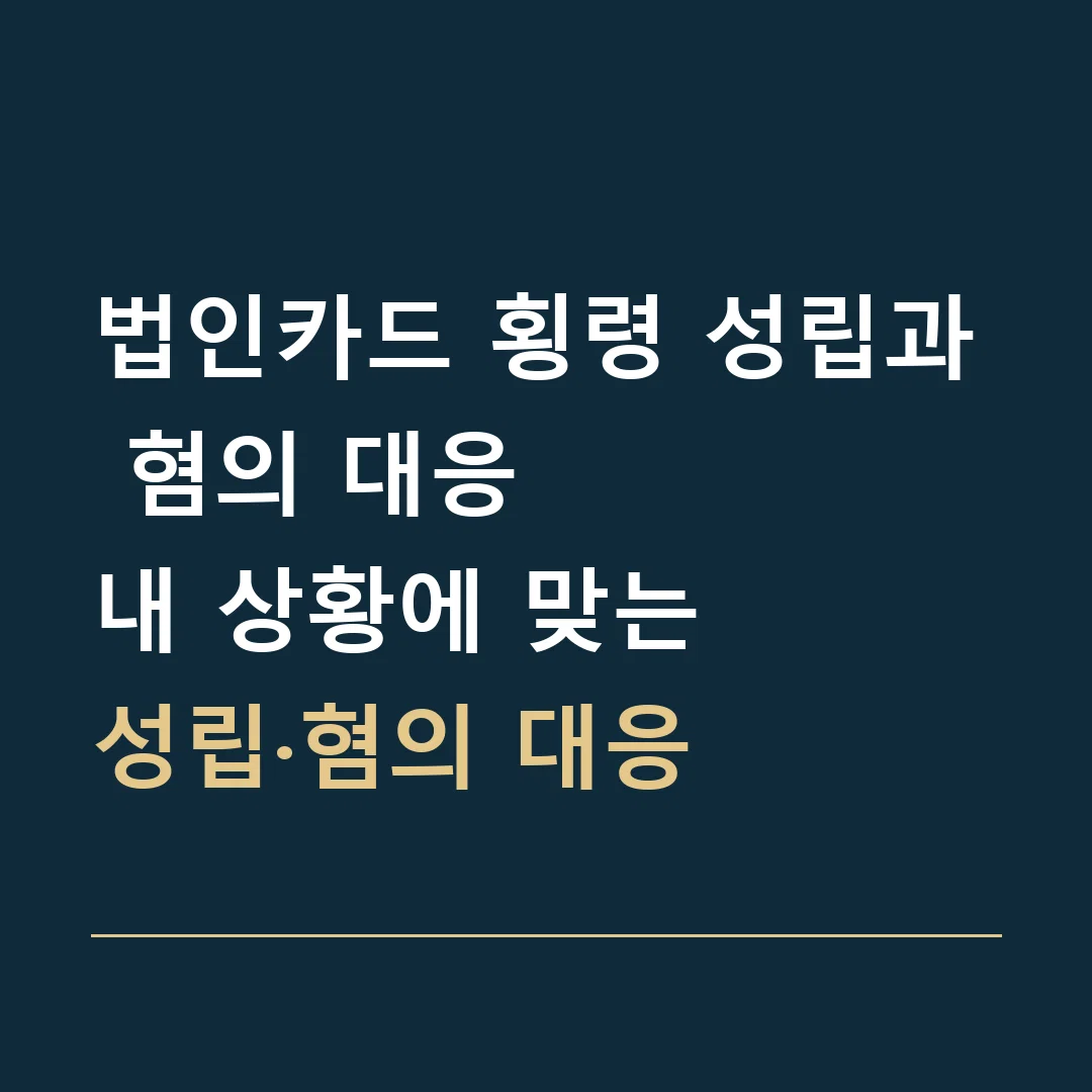 법인카드 횡령 성립과 혐의 대응 · 내 상황에 맞는
성립·혐의 대응