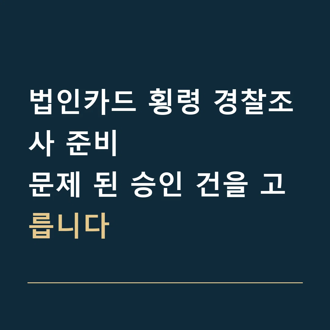 법인카드 횡령 경찰조사 준비 · 문제 된 승인 건을 고릅니다
