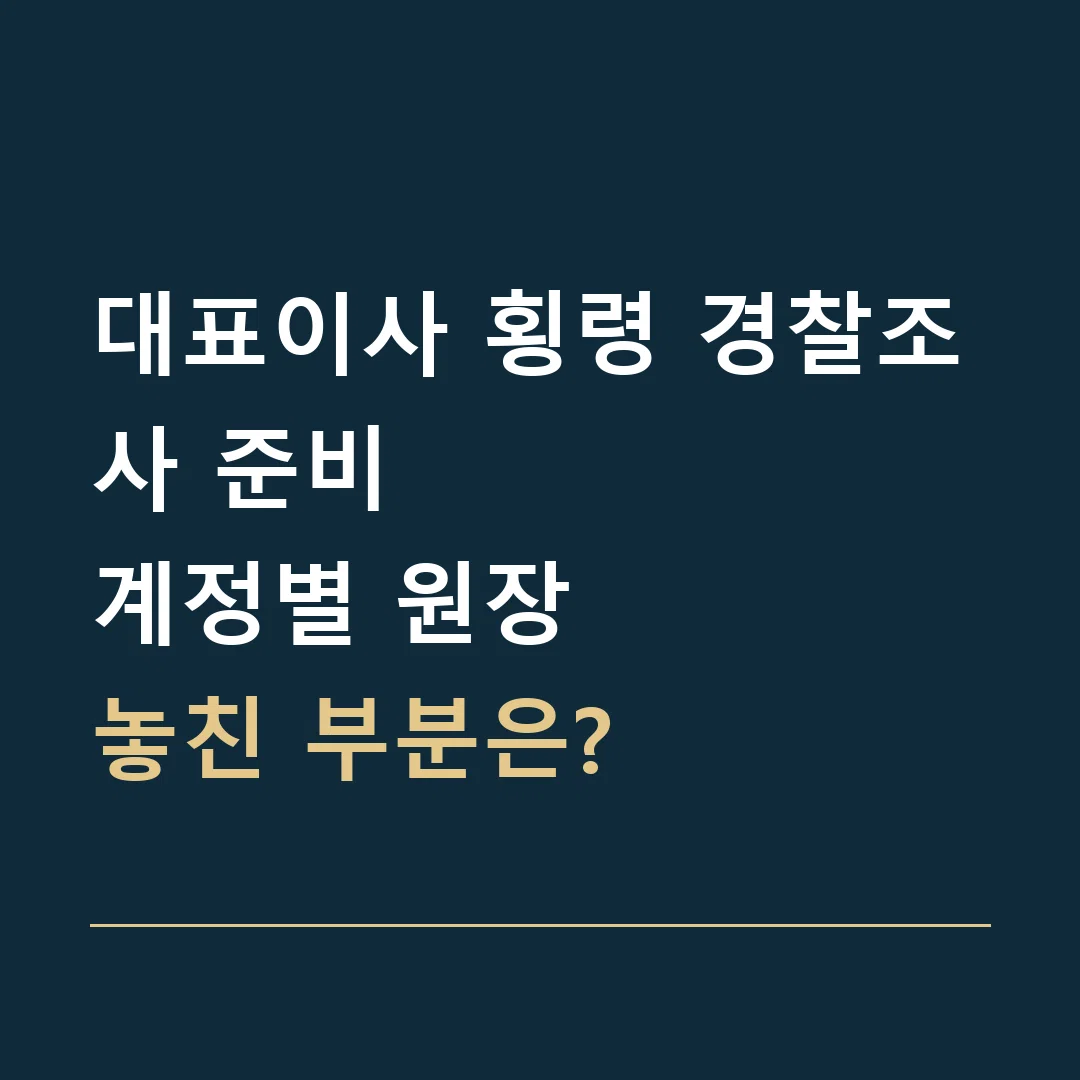 대표이사 횡령 경찰조사 준비 · 계정별 원장
놓친 부분은?
