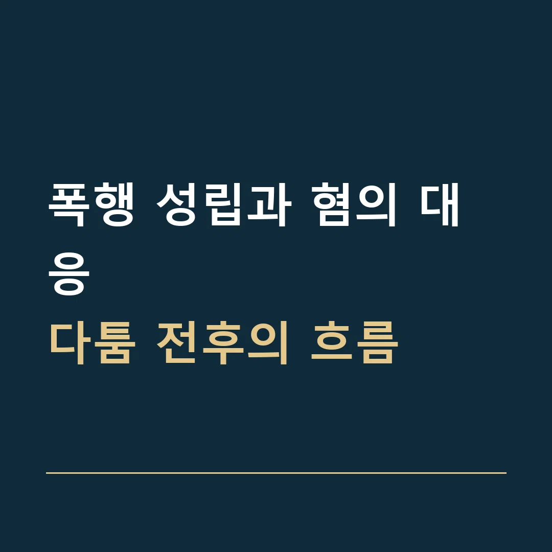 폭행 성립과 혐의 대응 · 다툼 전후의 흐름