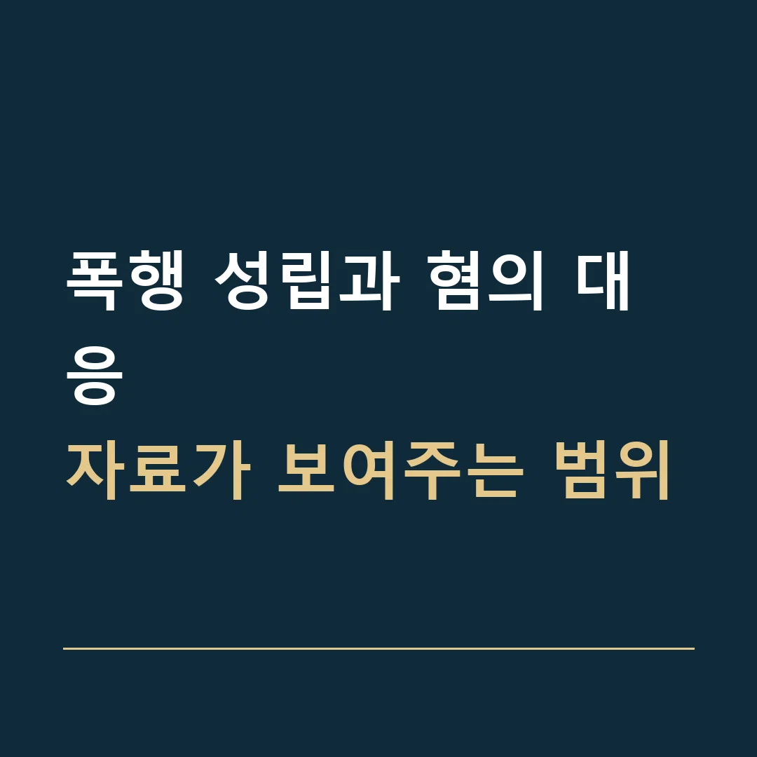 폭행 성립과 혐의 대응 · 자료가 보여주는 범위
