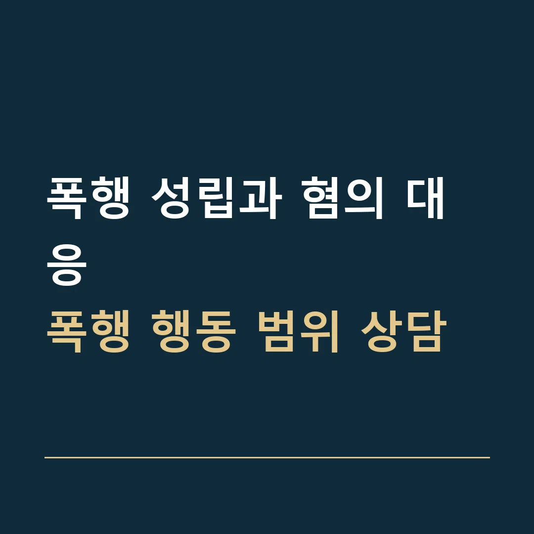 폭행 성립과 혐의 대응 · 폭행 행동 범위 상담