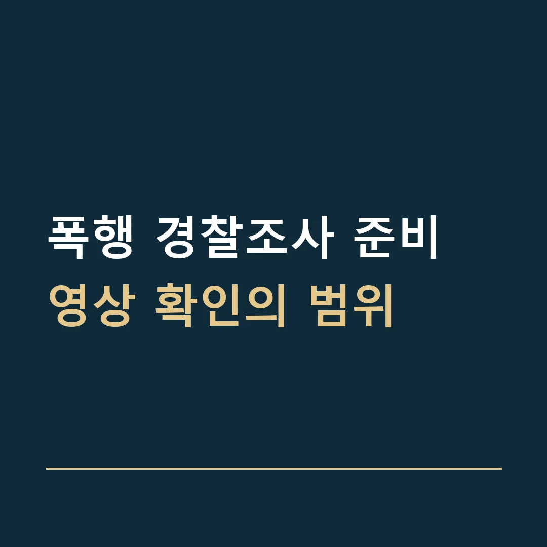 폭행 경찰조사 준비 · 영상 확인의 범위