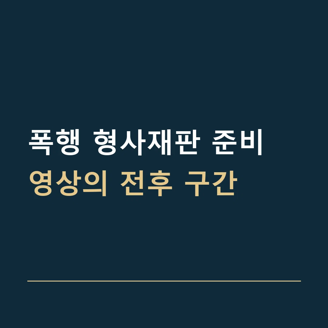 폭행 형사재판 준비 · 영상의 전후 구간