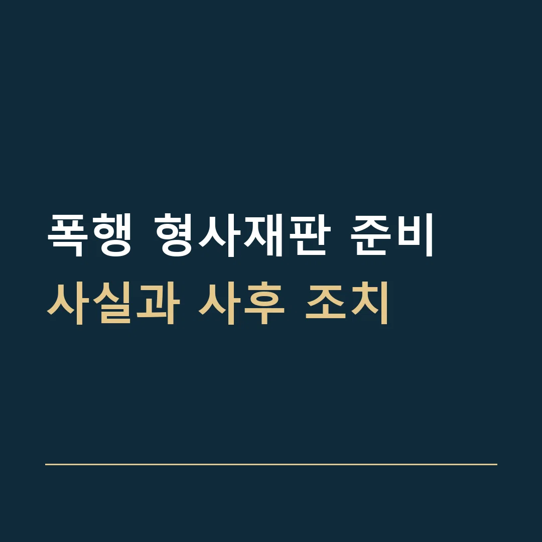 폭행 형사재판 준비 · 사실과 사후 조치