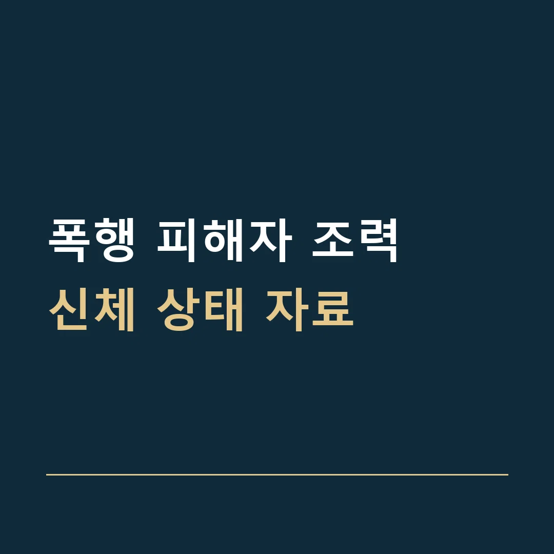 폭행 피해자 조력 · 신체 상태 자료