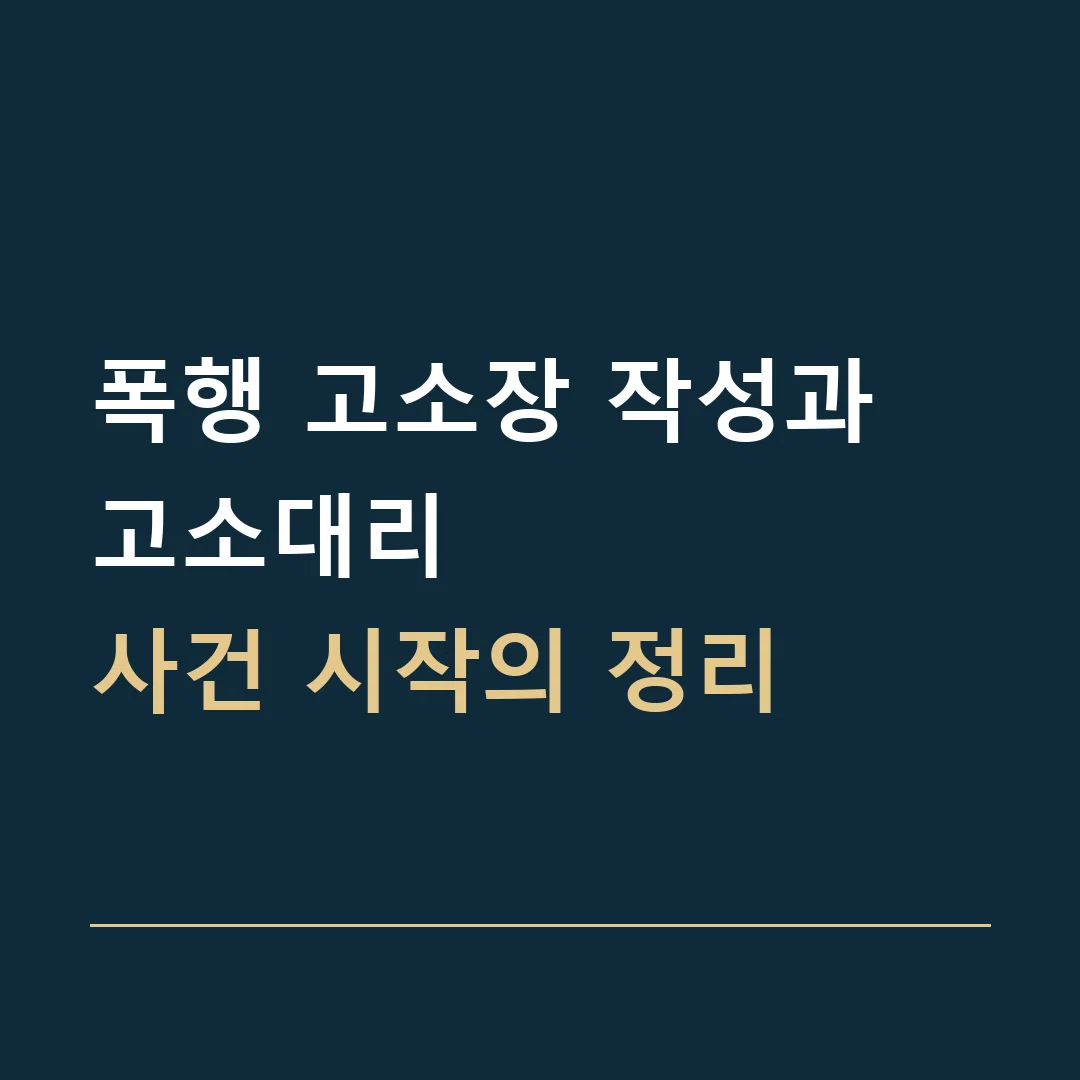 폭행 고소장 작성과 고소대리 · 사건 시작의 정리
