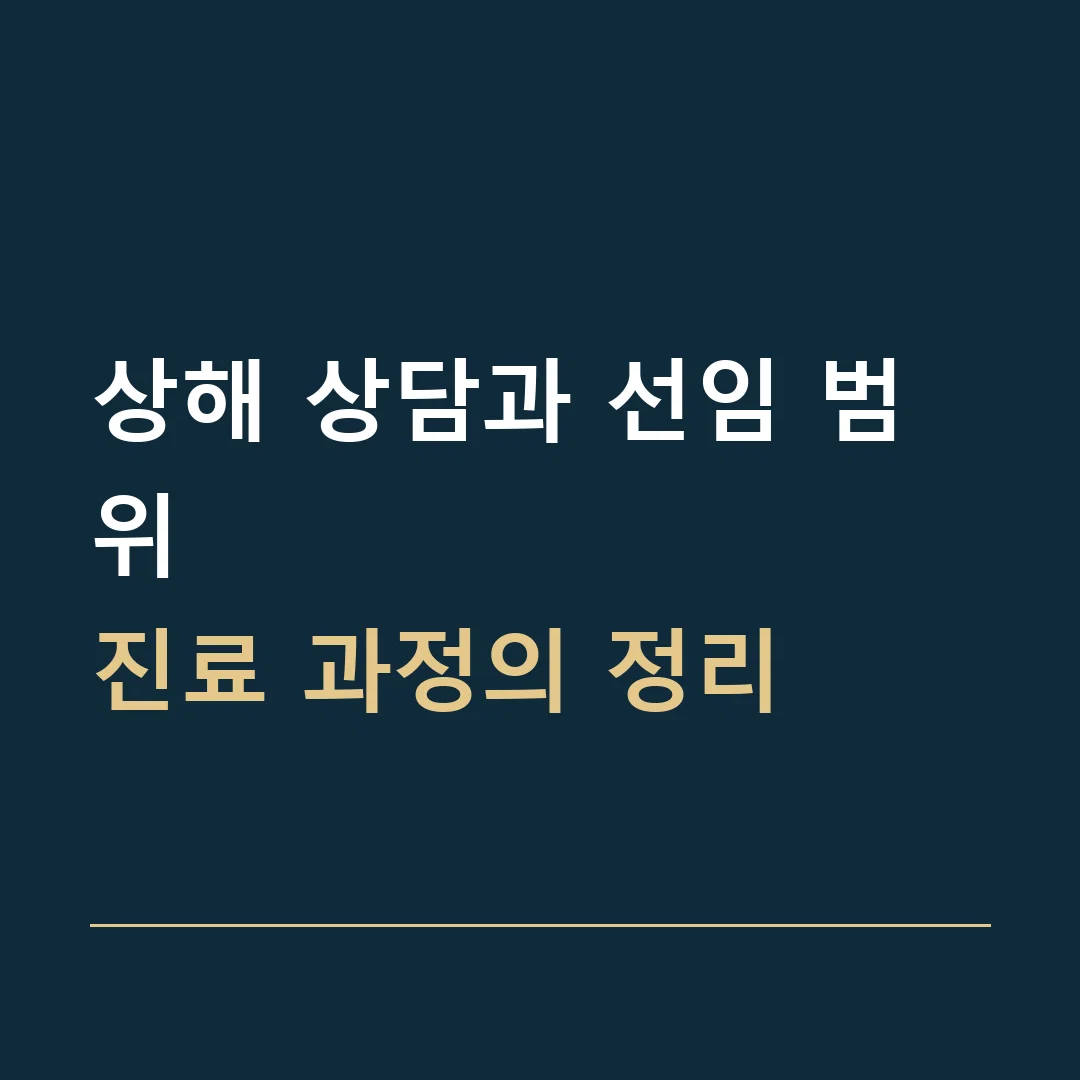 상해 상담과 선임 범위 · 진료 과정의 정리