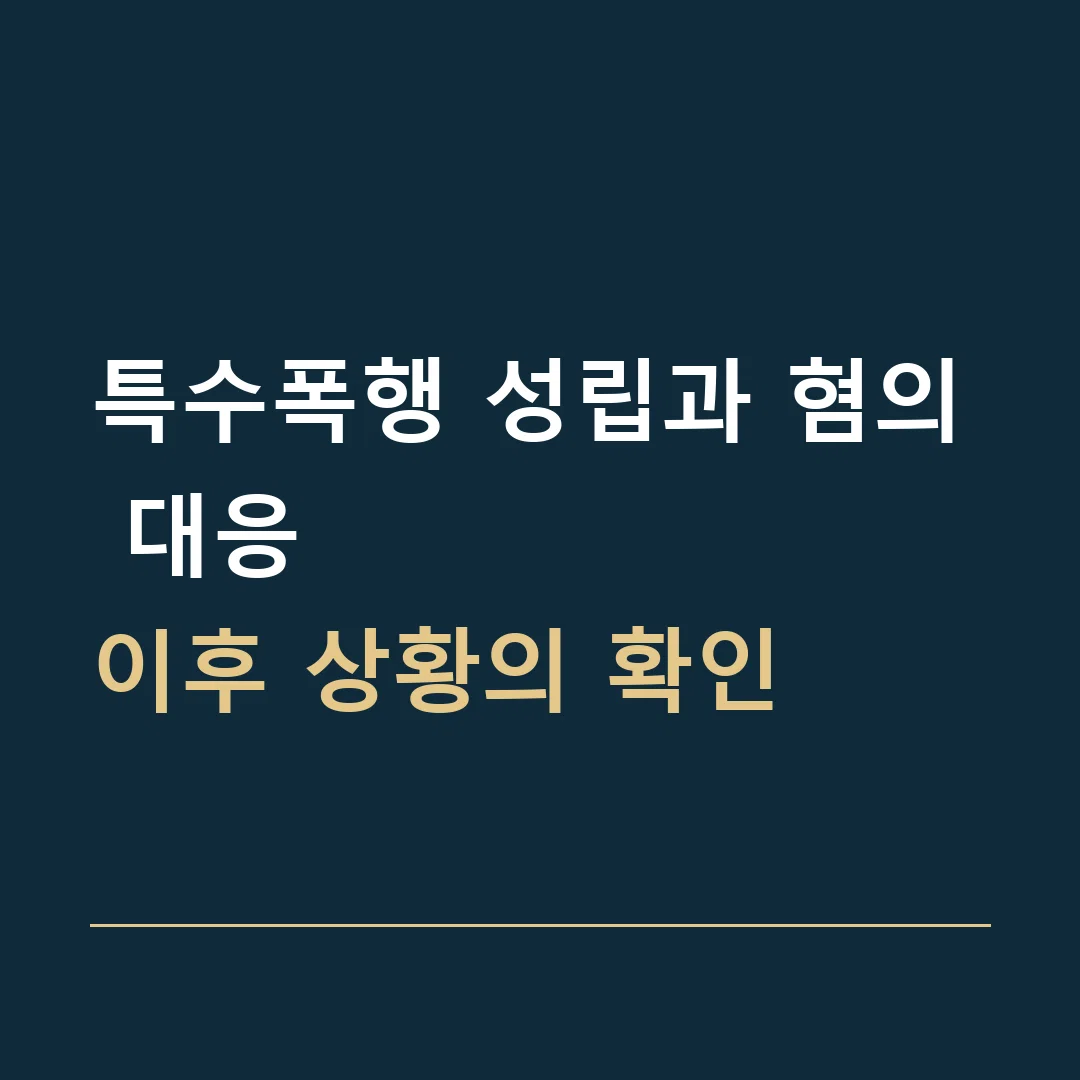 특수폭행 성립과 혐의 대응 · 이후 상황의 확인