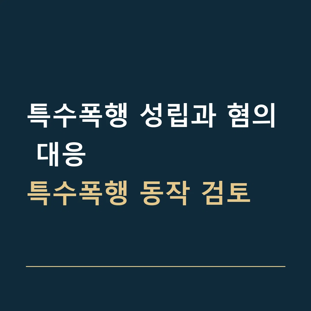 특수폭행 성립과 혐의 대응 · 특수폭행 동작 검토
