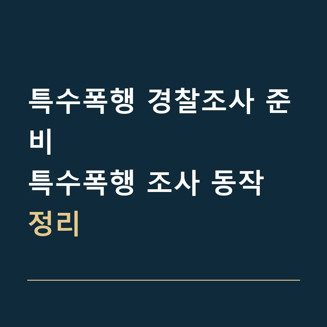 특수폭행 경찰조사 준비 · 특수폭행 조사 동작 정리