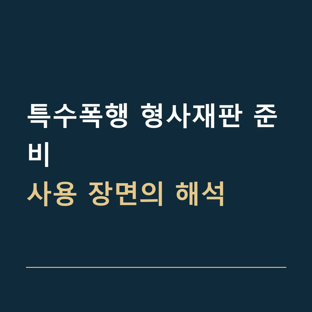 특수폭행 형사재판 준비 · 사용 장면의 해석