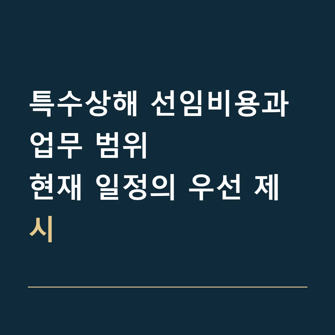 특수상해 선임비용과 업무 범위 · 현재 일정의 우선 제시