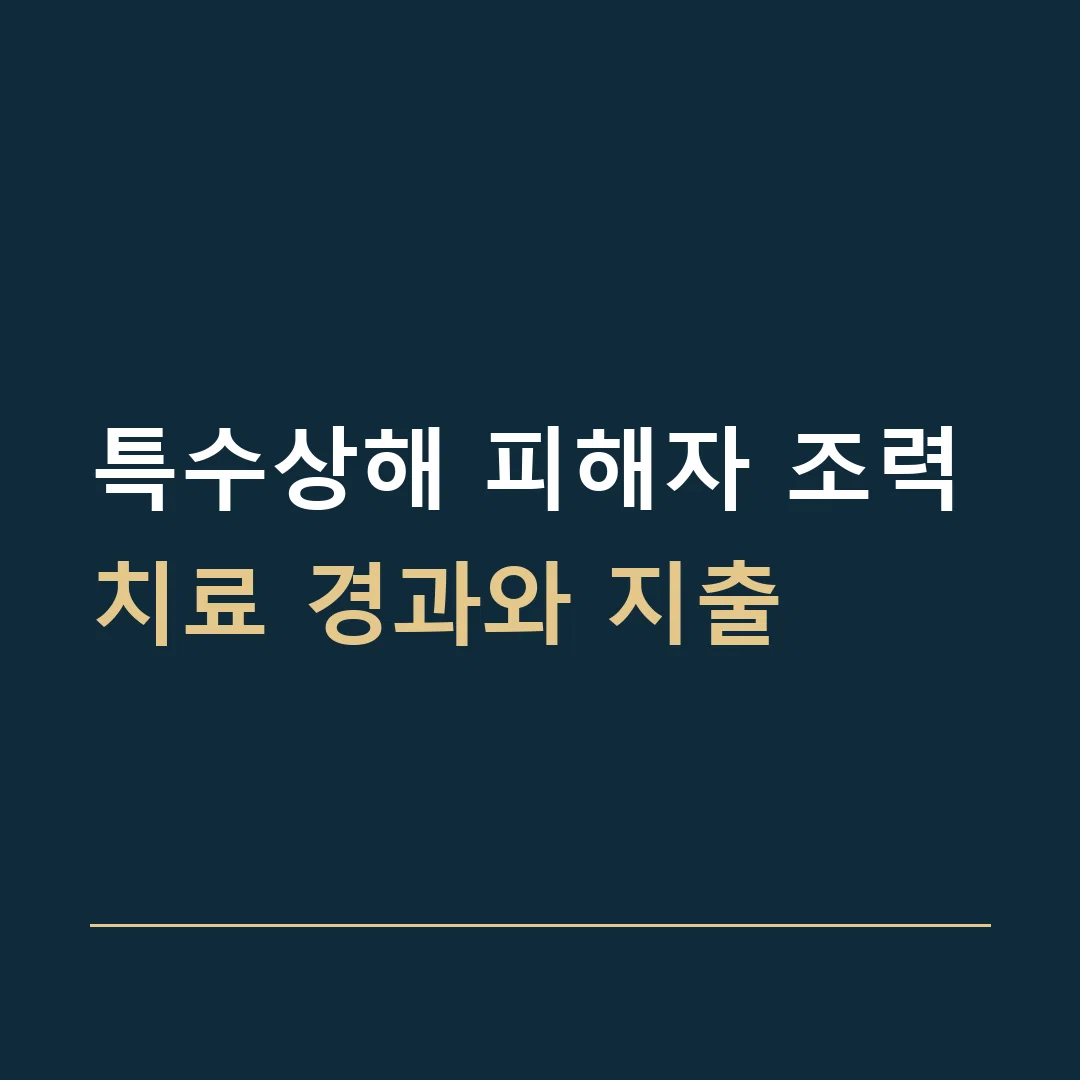 특수상해 피해자 조력 · 치료 경과와 지출