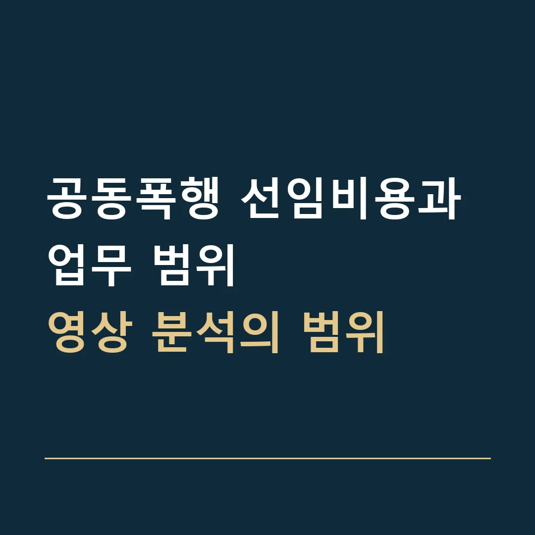 공동폭행 선임비용과 업무 범위 · 영상 분석의 범위