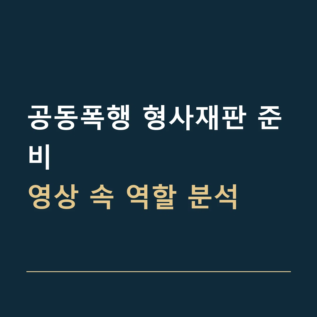 공동폭행 형사재판 준비 · 영상 속 역할 분석