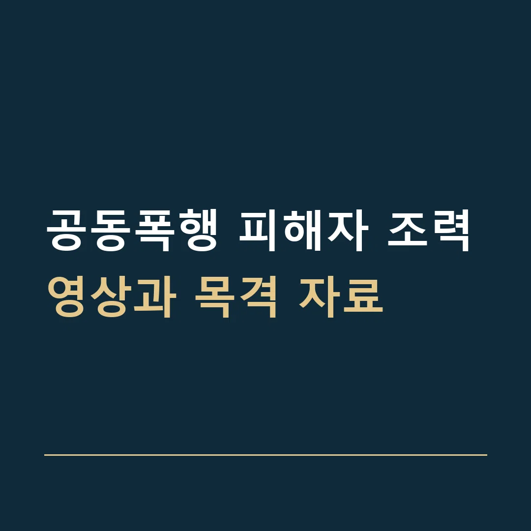 공동폭행 피해자 조력 · 영상과 목격 자료