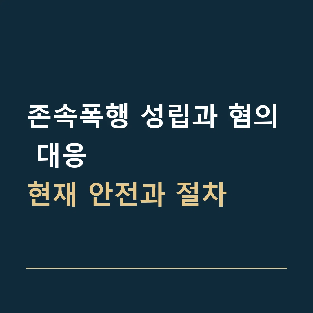 존속폭행 성립과 혐의 대응 · 현재 안전과 절차